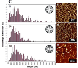 VFD-nanotube STM image